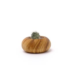 Kaki Life Olive Wood Jar Green Jewel