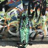 photo Tavola skate Seed_02 1